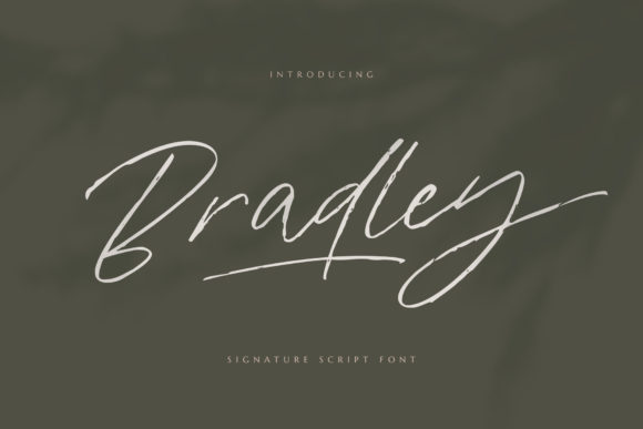 Bradley Font: The Handwritten Typeface for Scroll-Stopping Brands