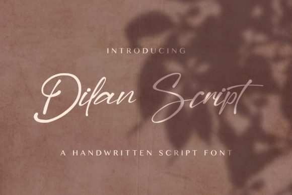 Dilan Font: A Designer's Take on Elegant Branding