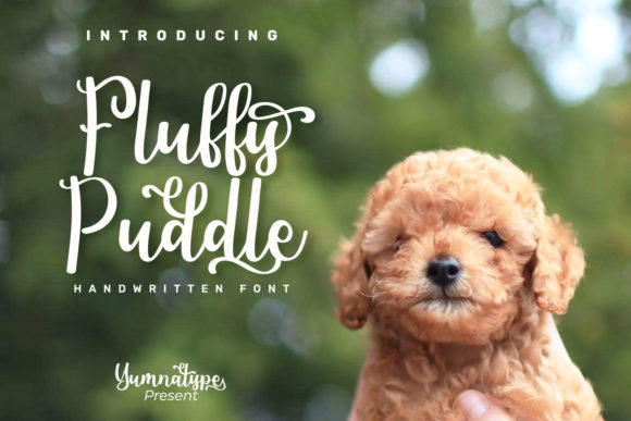 Fluffy Puddle: A Handwritten Font for Web Design