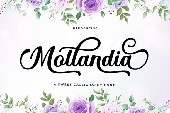 Mollandia: A Romantic Script Font for Editorial Design